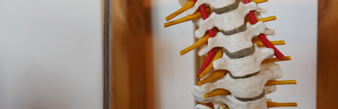 Physiotherapie Akupunktur Bissendorf Osnabrück